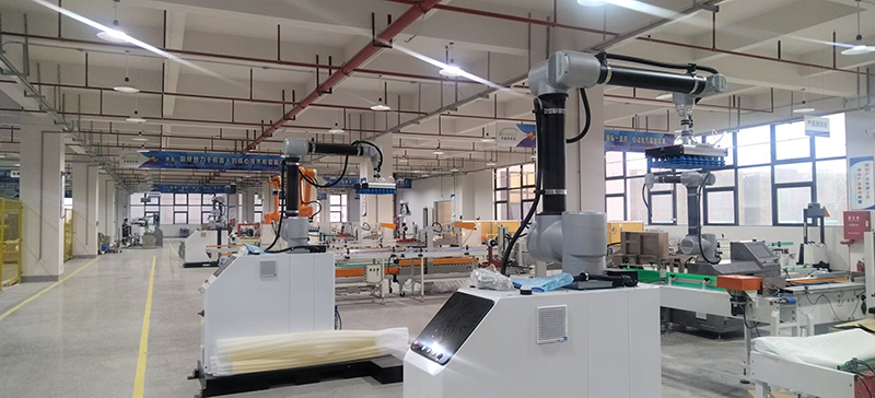Palletizing robots (1).jpg