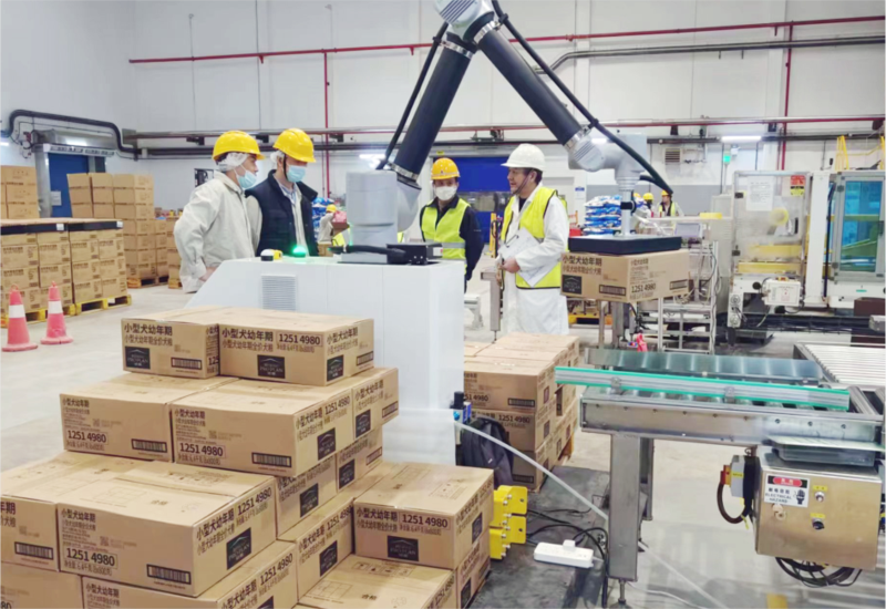Key Components of Robot Palletizing Systems