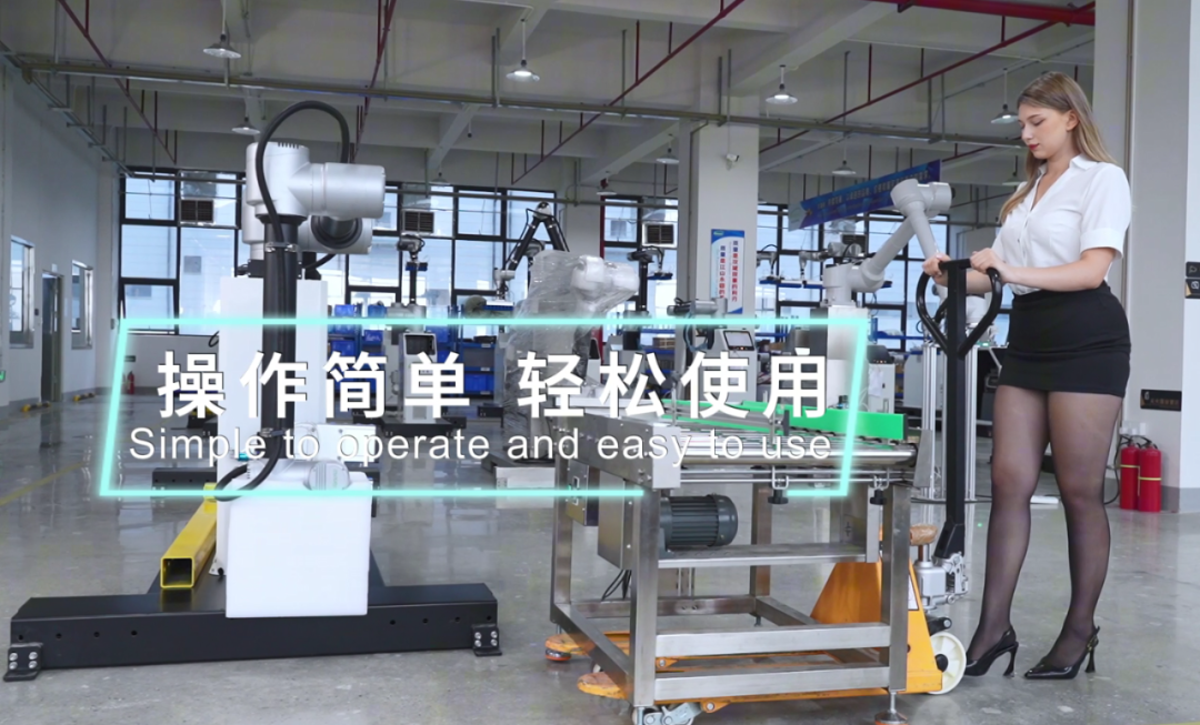 palletizing robots (2).png